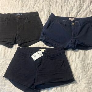 Stylish Women's Shorts - Black and Navy